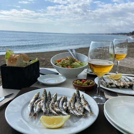 Skol * Marbella
